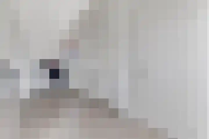 Tjeerd Kuipersstraat 60 Bergschenhoek thumbnail 33