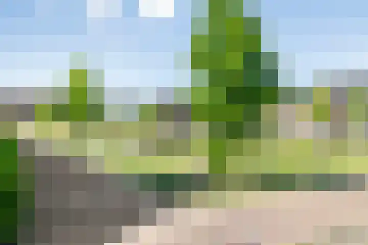 Tjeerd Kuipersstraat 60 Bergschenhoek thumbnail 37