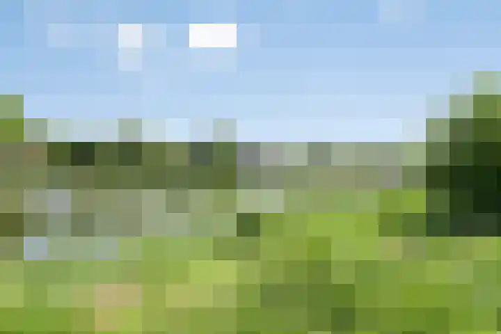 Tjeerd Kuipersstraat 60 Bergschenhoek thumbnail 38