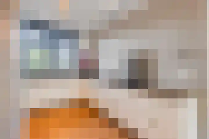 Tjeerd Kuipersstraat 60 Bergschenhoek thumbnail 9