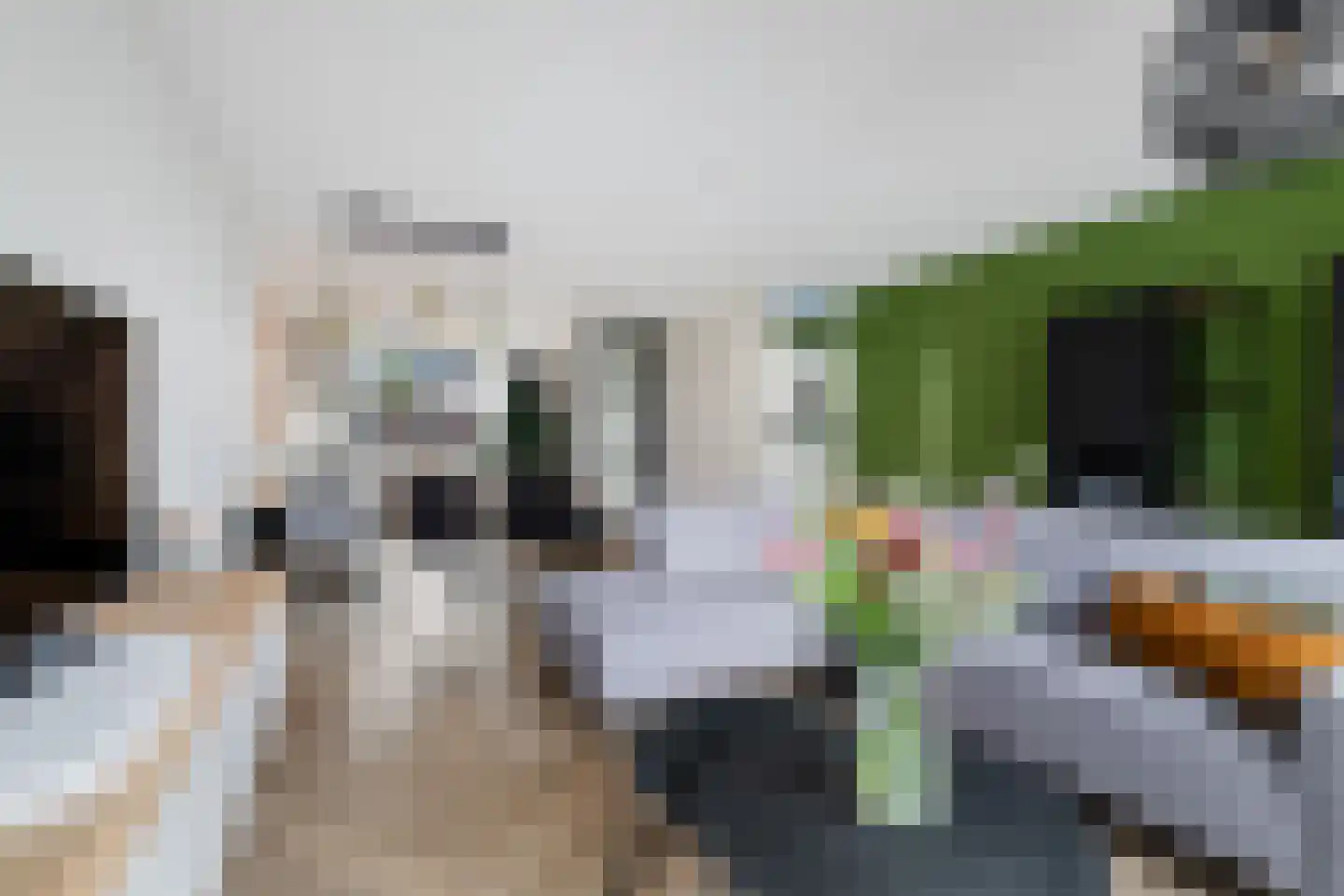 Tjeerd Kuipersstraat 76 Bergschenhoek thumbnail 10