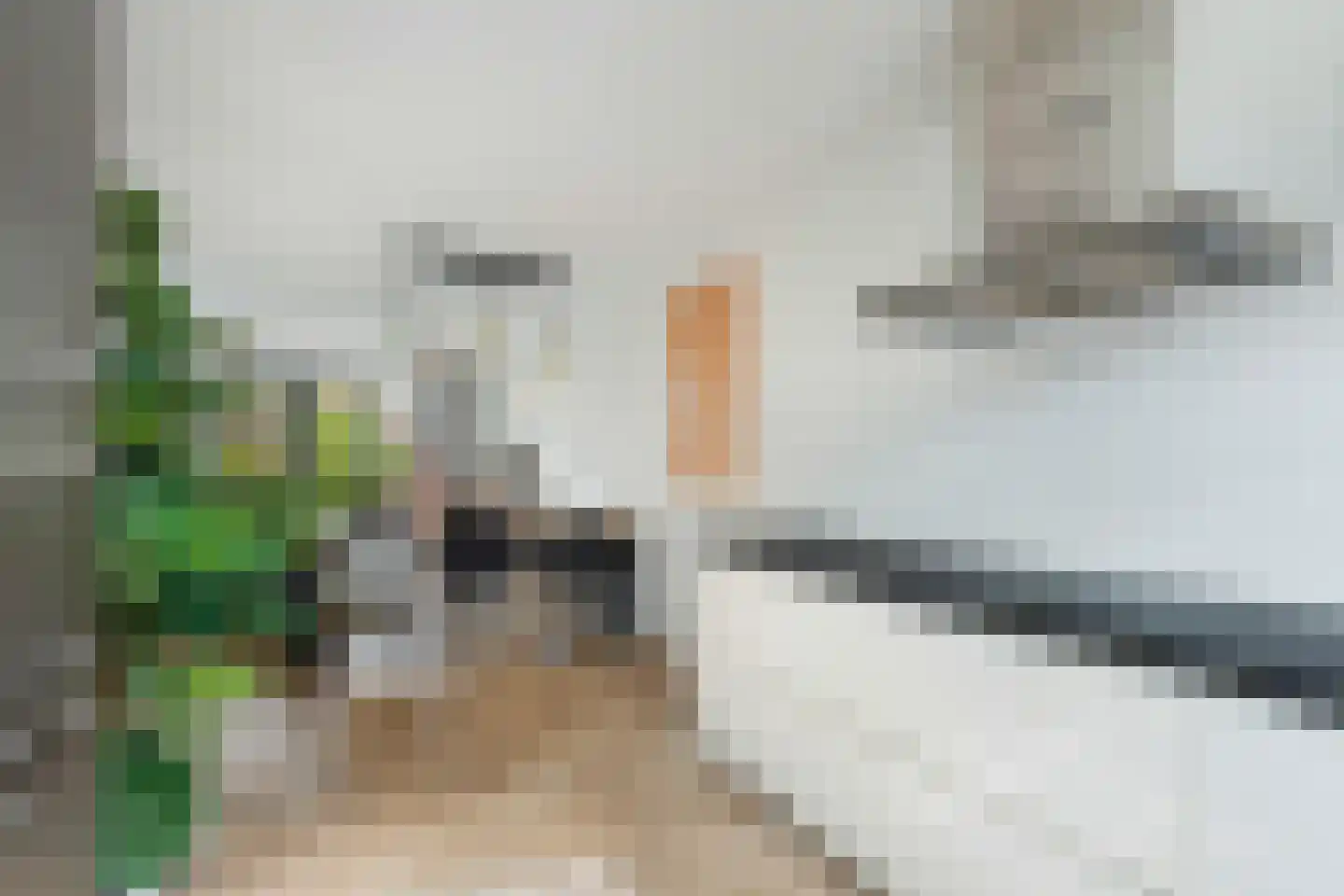 Tjeerd Kuipersstraat 76 Bergschenhoek thumbnail 15