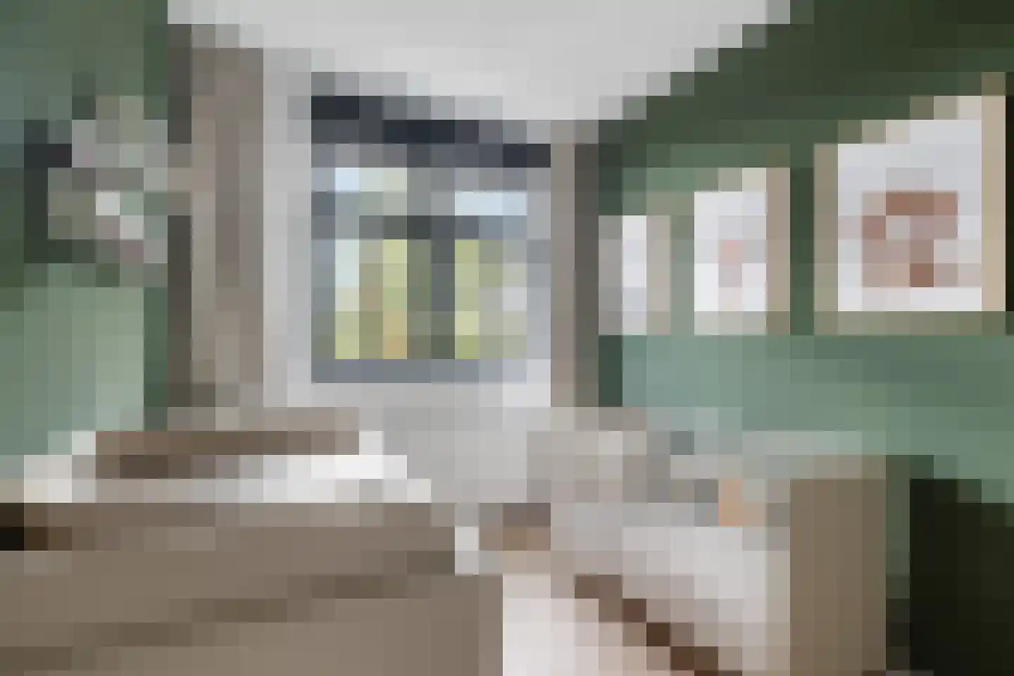 Tjeerd Kuipersstraat 76 Bergschenhoek thumbnail 30