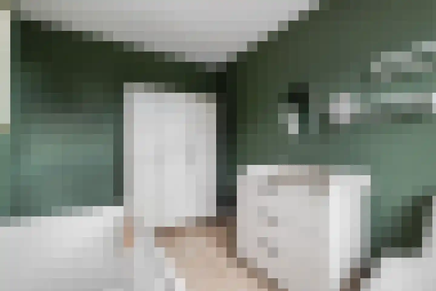 Tjeerd Kuipersstraat 76 Bergschenhoek thumbnail 31