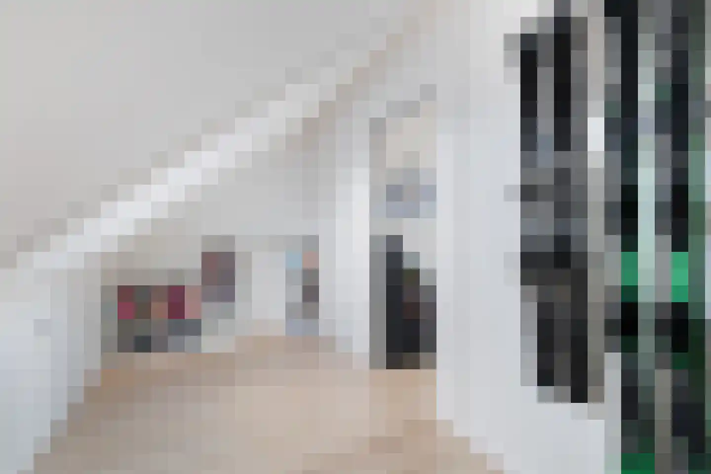 Tjeerd Kuipersstraat 76 Bergschenhoek thumbnail 35