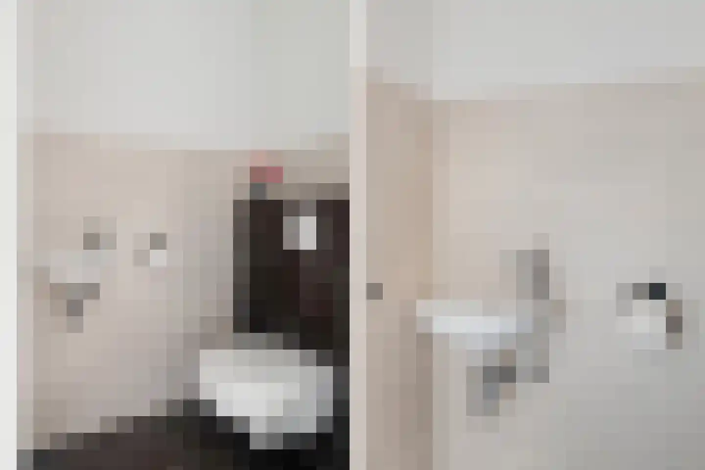 Tjeerd Kuipersstraat 76 Bergschenhoek thumbnail 8