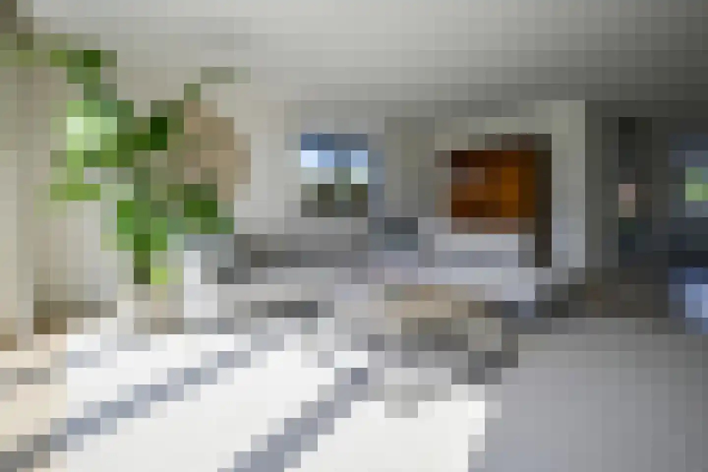 Tjeerd Kuipersstraat 89 Bergschenhoek thumbnail 15