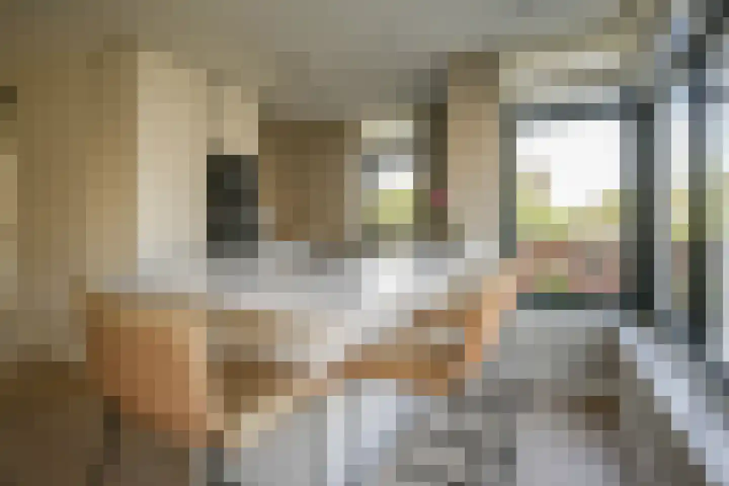 Tjeerd Kuipersstraat 89 Bergschenhoek thumbnail 21