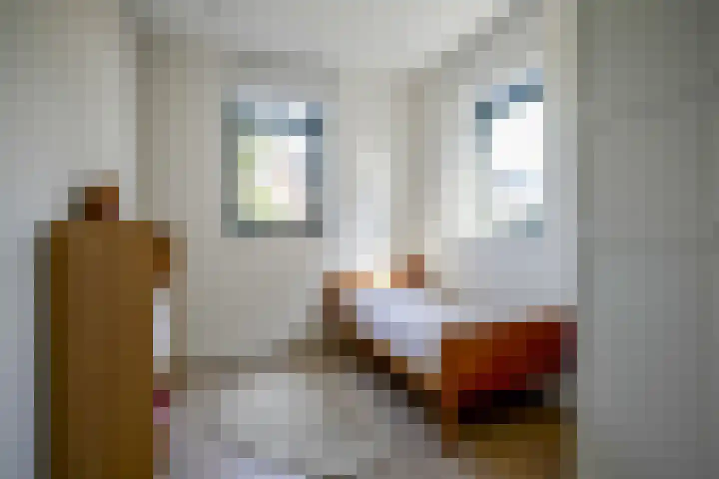 Tjeerd Kuipersstraat 89 Bergschenhoek thumbnail 27