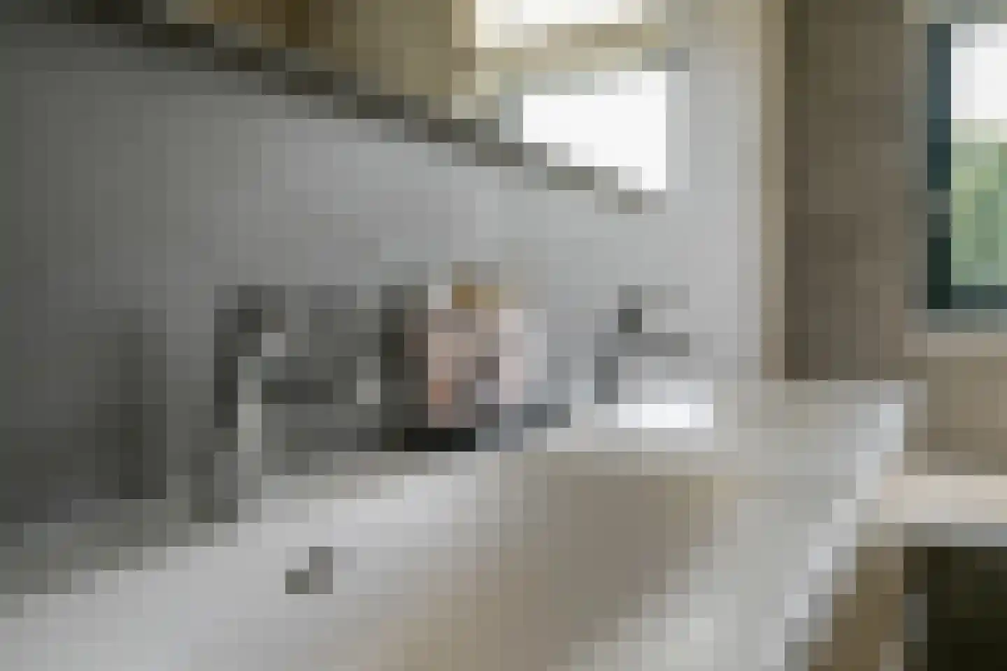 Tjeerd Kuipersstraat 89 Bergschenhoek thumbnail 32