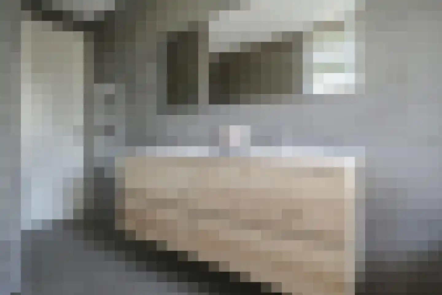 Tjeerd Kuipersstraat 89 Bergschenhoek thumbnail 35
