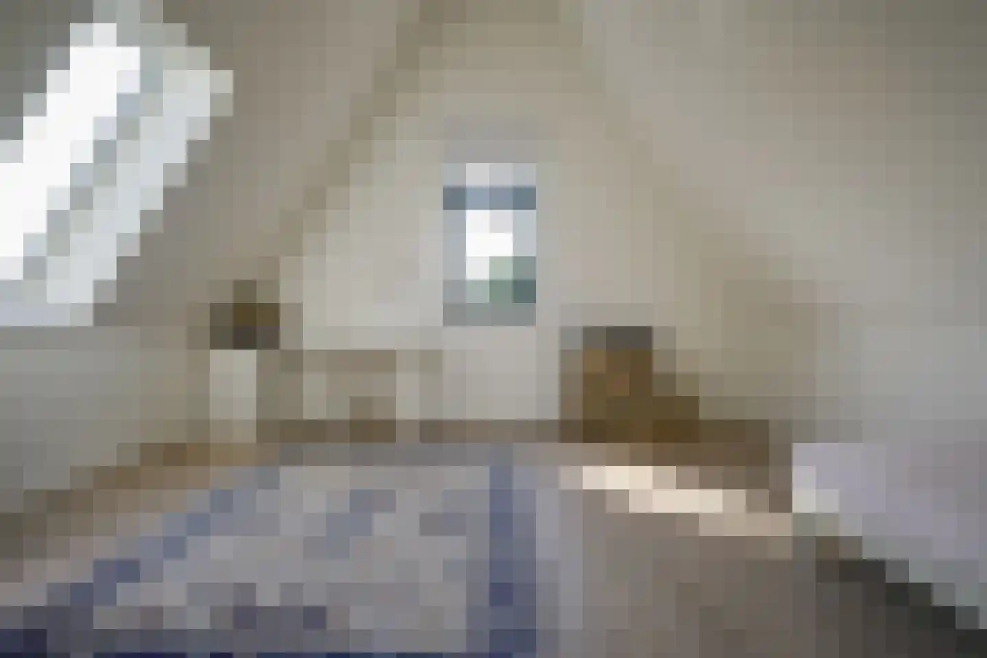 Tjeerd Kuipersstraat 89 Bergschenhoek thumbnail 42