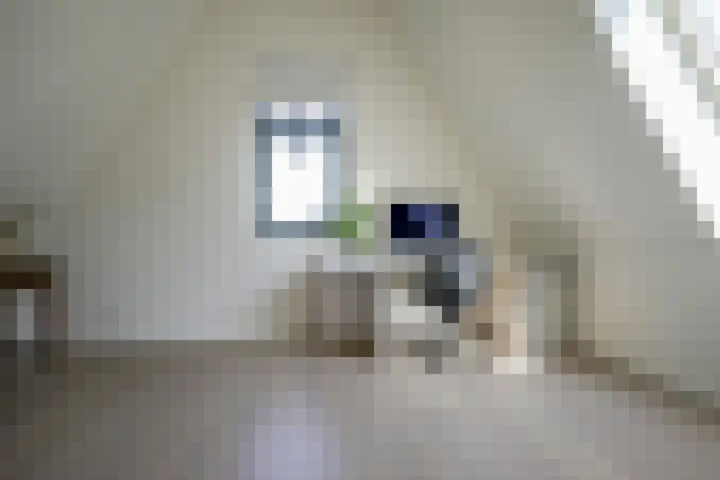 Tjeerd Kuipersstraat 89 Bergschenhoek thumbnail 46