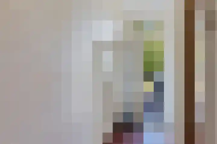 Tjeerd Thijssenstraat 10 Oudebildtzijl thumbnail 10