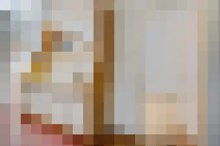 Tjeerd Thijssenstraat 10 Oudebildtzijl thumbnail 15
