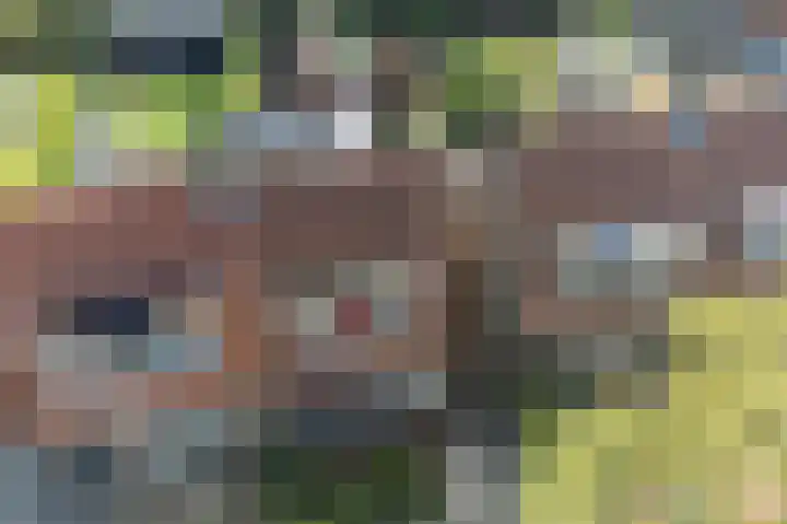 Tjeerd Thijssenstraat 10 Oudebildtzijl thumbnail 42