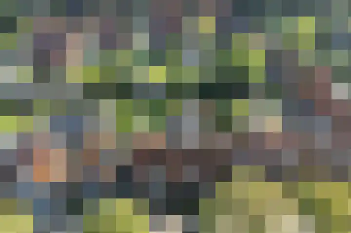Tjeerd Thijssenstraat 10 Oudebildtzijl thumbnail 43