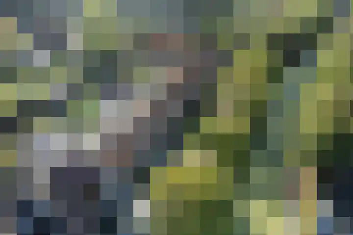 Tjeerd Thijssenstraat 10 Oudebildtzijl thumbnail 44