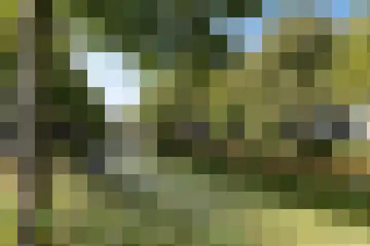 Tjeerd Thijssenstraat 10 Oudebildtzijl thumbnail 50