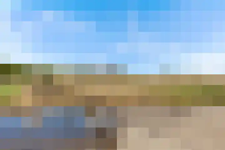 Tjeerd Thijssenstraat 10 Oudebildtzijl thumbnail 51