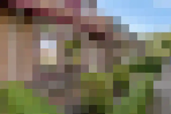 Tjeerd Thijssenstraat 10 Oudebildtzijl thumbnail 6