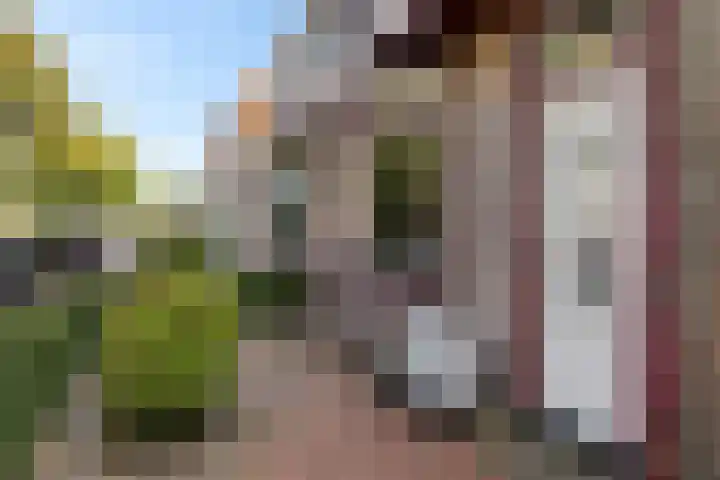 Tjeerd Thijssenstraat 10 Oudebildtzijl thumbnail 8