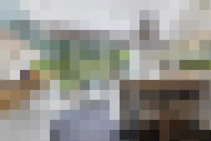 Tjeerdsraklaan 1 Utrecht thumbnail 13