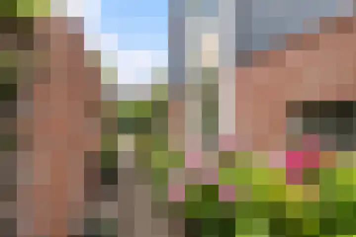 Tjeerdsraklaan 1 Utrecht thumbnail 15