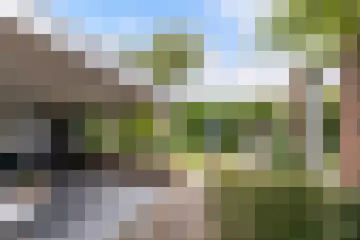 Tjeerdsraklaan 1 Utrecht thumbnail 16