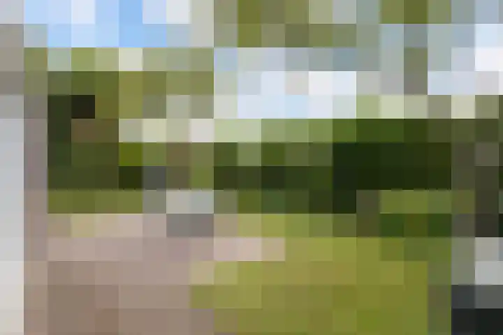 Tjeerdsraklaan 1 Utrecht thumbnail 18