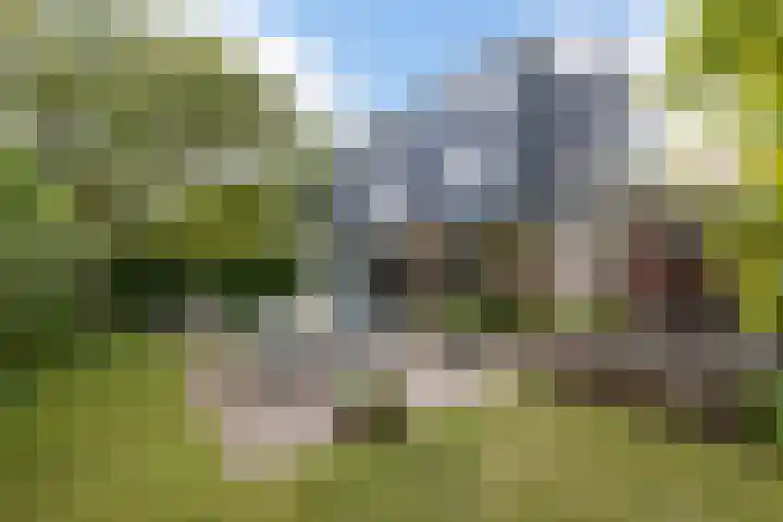 Tjeerdsraklaan 1 Utrecht thumbnail 19