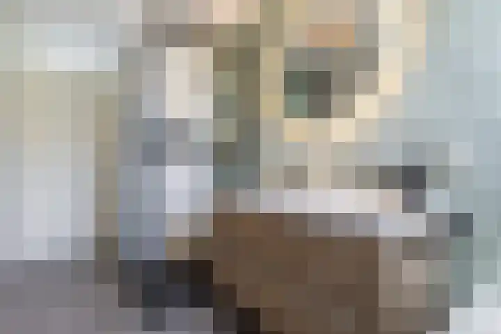 Tjeerdsraklaan 1 Utrecht thumbnail 28