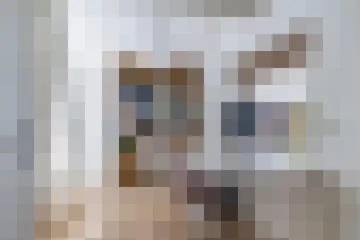 Tjeerdsraklaan 1 Utrecht thumbnail 29