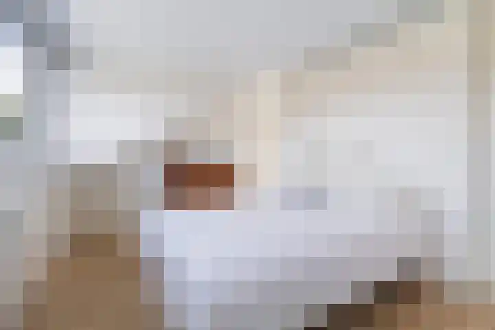 Tjeerdsraklaan 1 Utrecht thumbnail 33