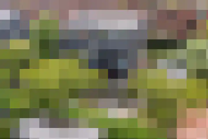 Tjeerdsraklaan 1 Utrecht thumbnail 38