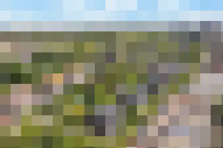 Tjeerdsraklaan 1 Utrecht thumbnail 39