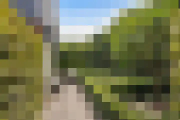 Tjeerdsraklaan 1 Utrecht thumbnail 4