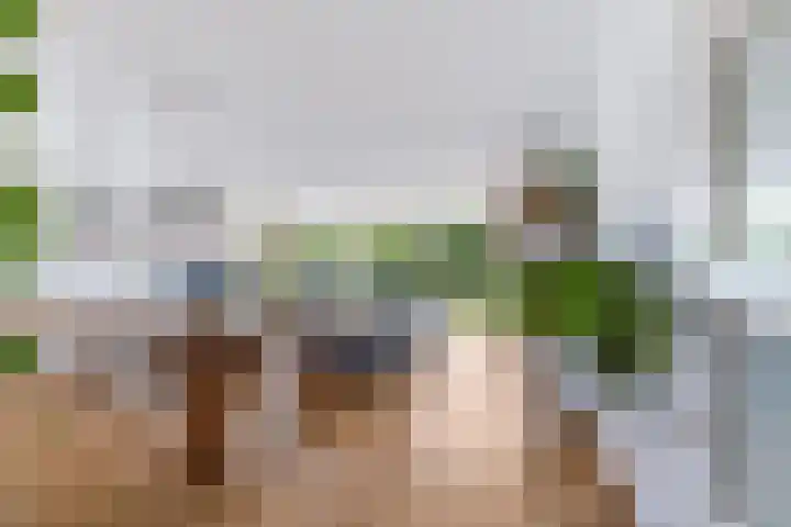 Tjeerdsraklaan 1 Utrecht thumbnail 8