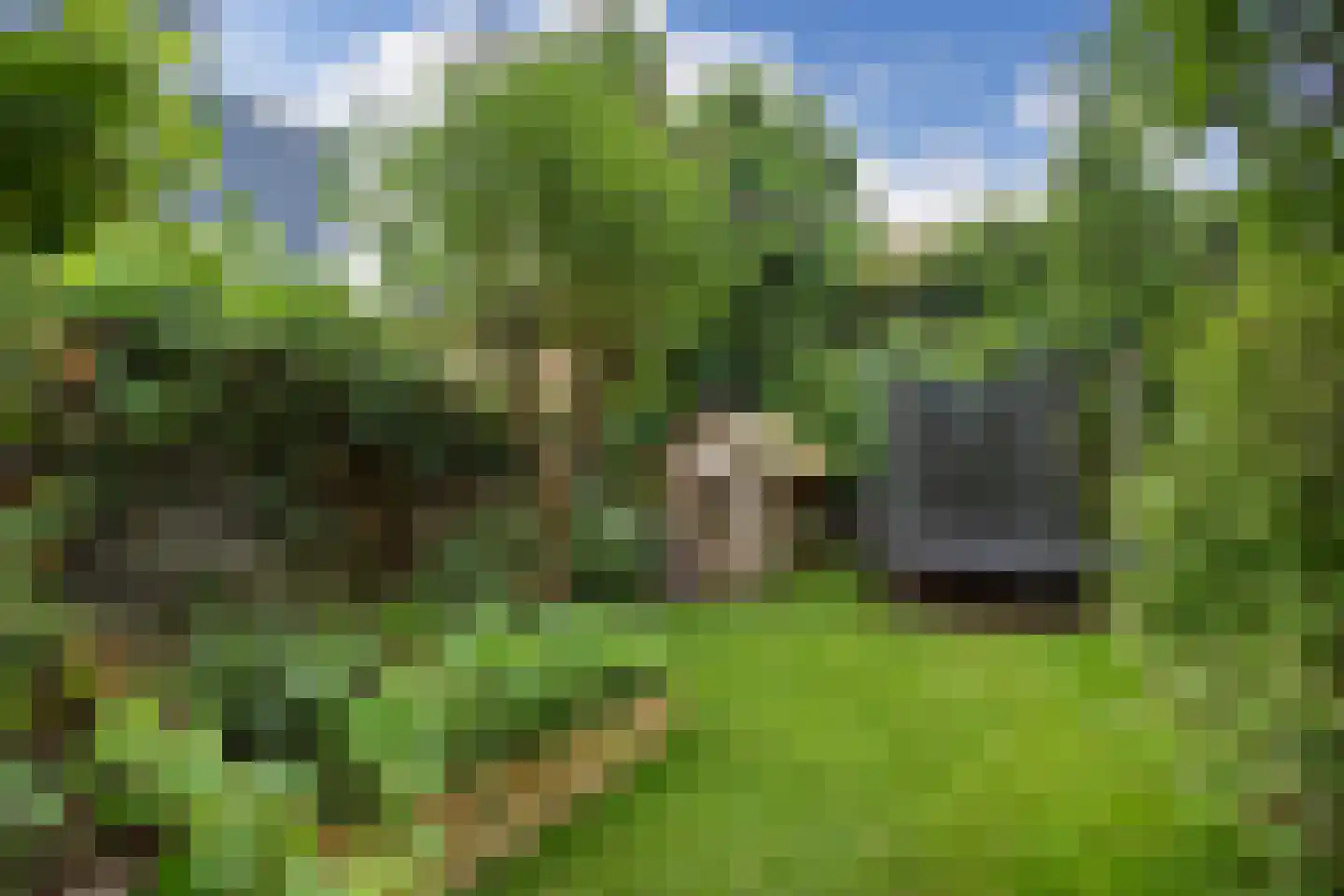 Tjeerdsraklaan 3 Utrecht thumbnail 17
