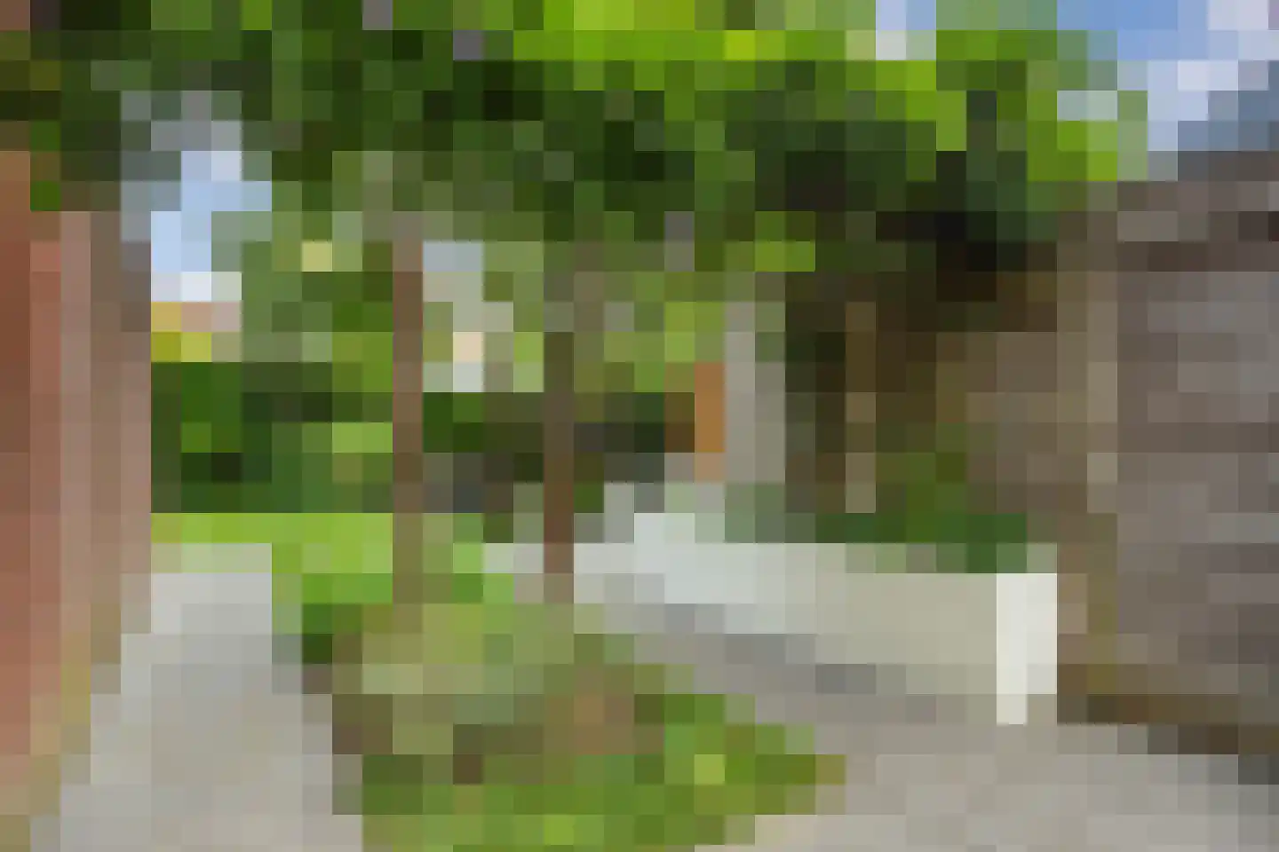 Tjeerdsraklaan 3 Utrecht thumbnail 19