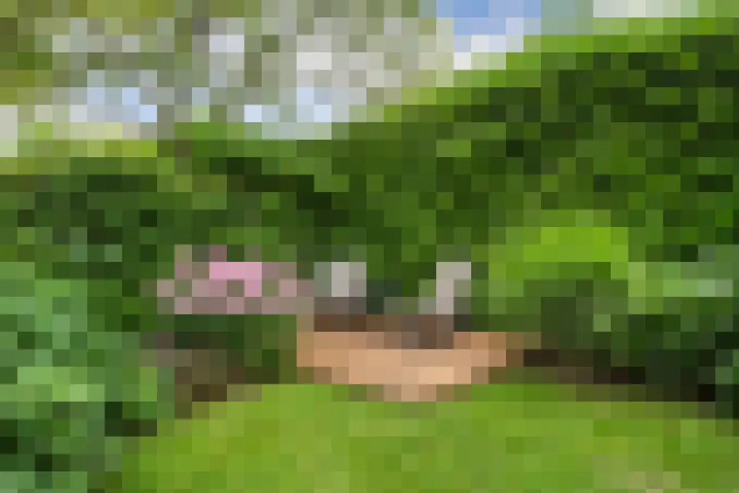 Tjeerdsraklaan 3 Utrecht thumbnail 20