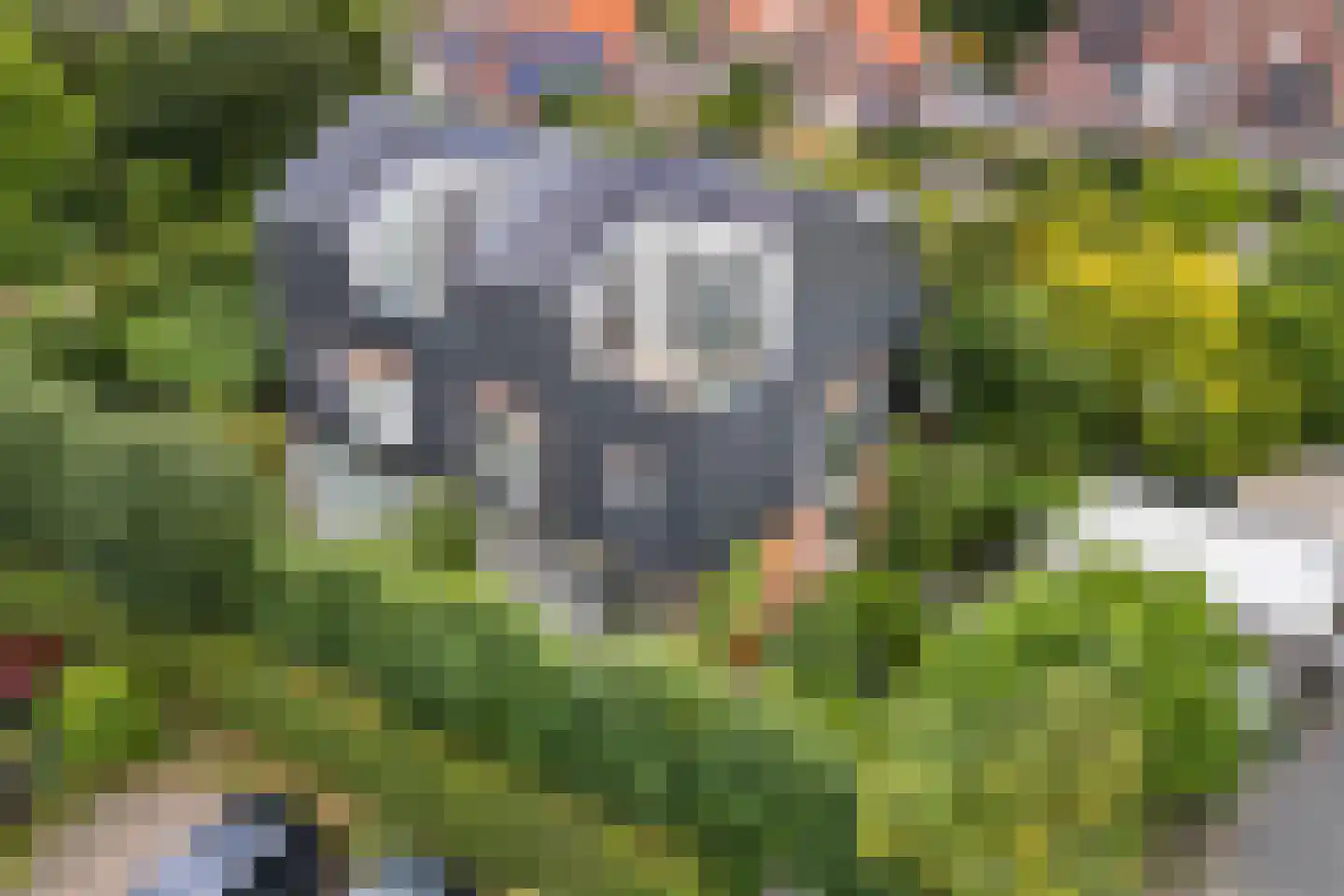 Tjeerdsraklaan 3 Utrecht thumbnail 31