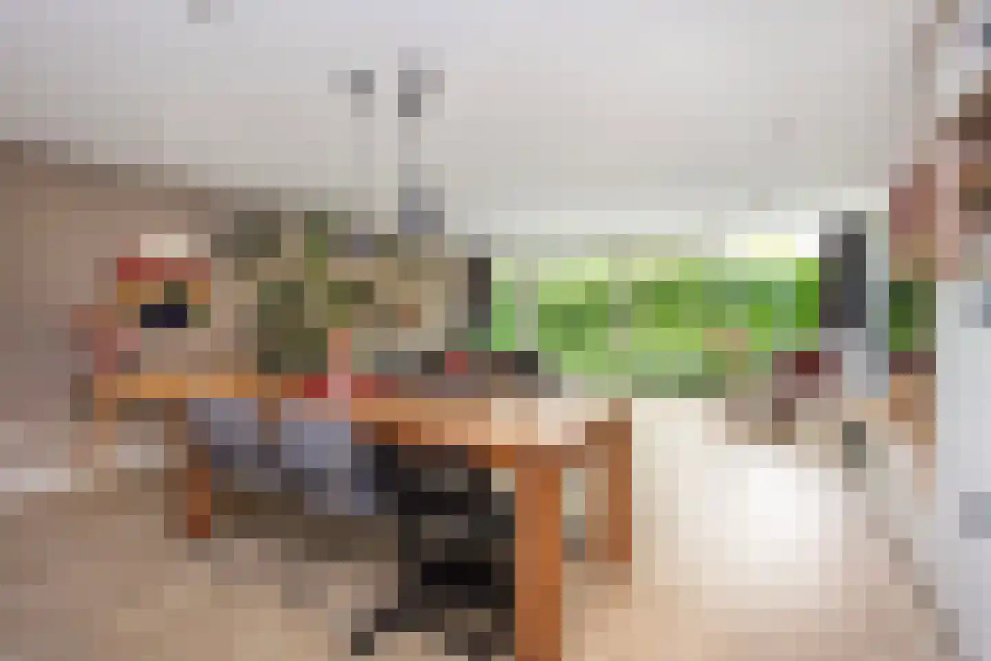 Tjeerdsraklaan 3 Utrecht thumbnail 39