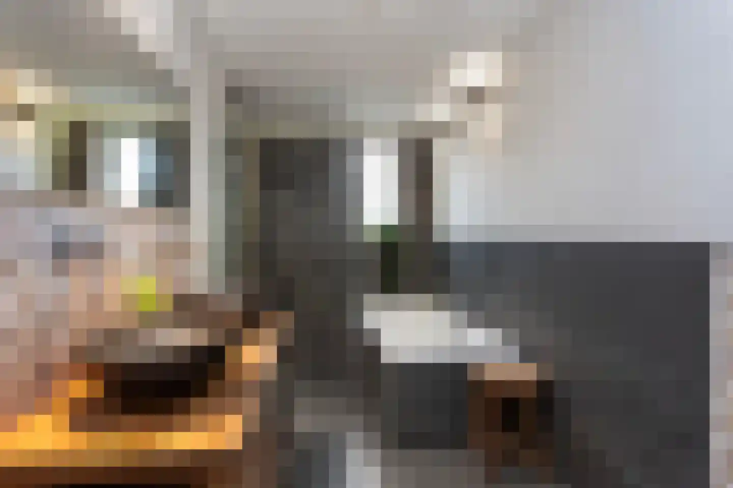 Tjeerdsraklaan 3 Utrecht thumbnail 48