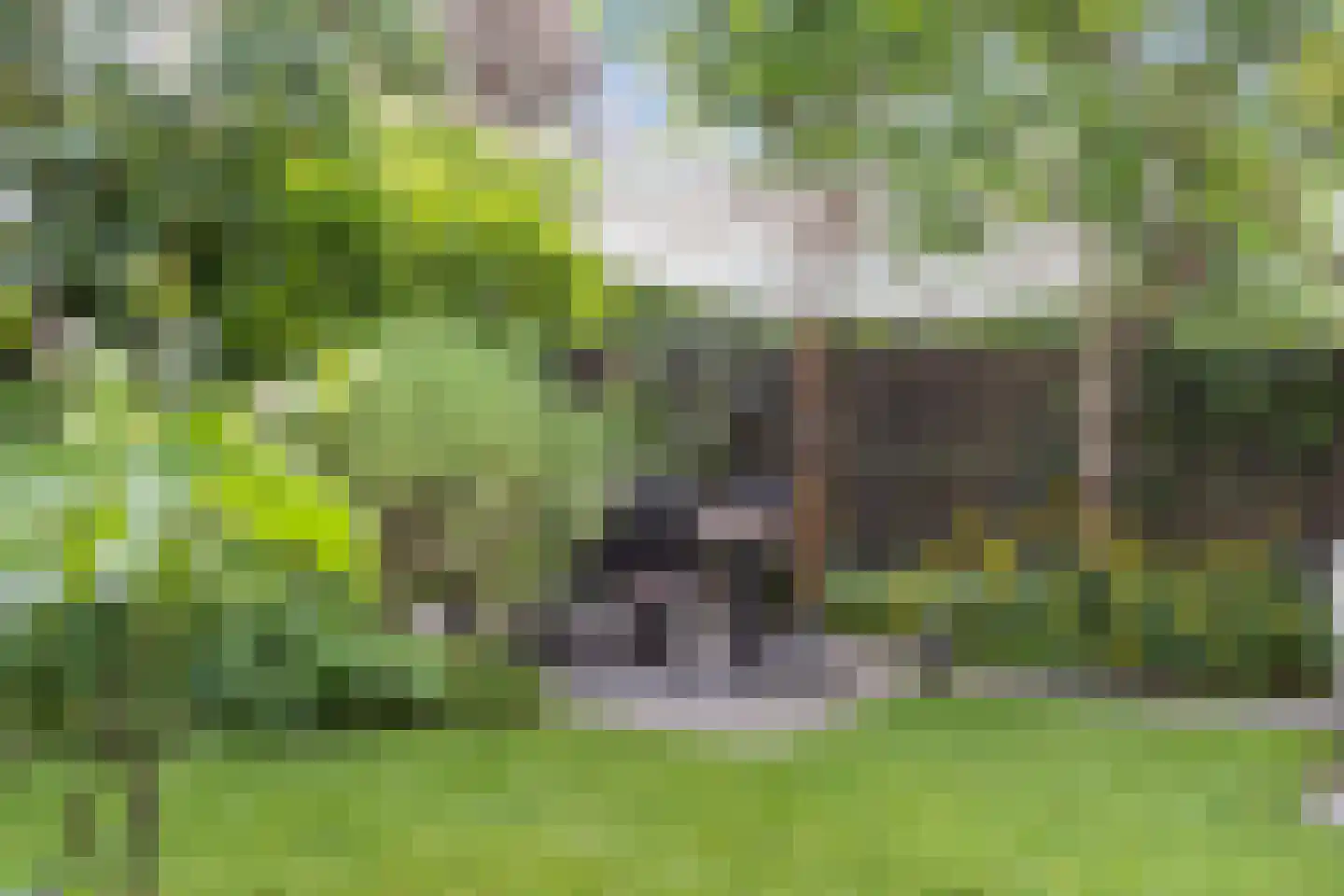 Tjeerdsraklaan 3 Utrecht thumbnail 66