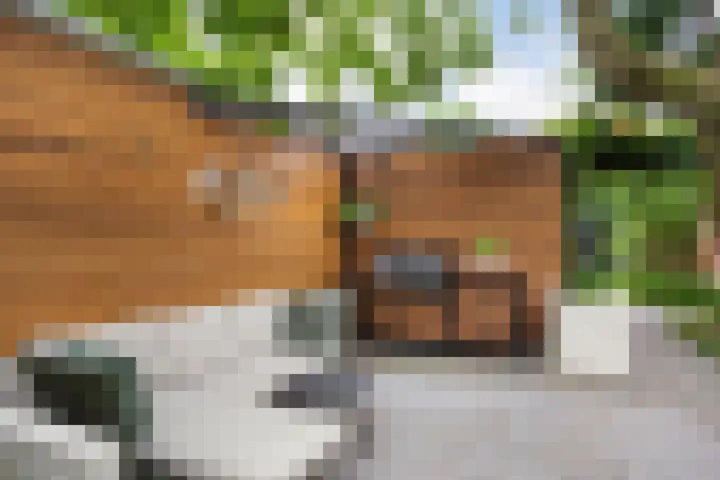 Tjeerdsraklaan 3 Utrecht thumbnail 68