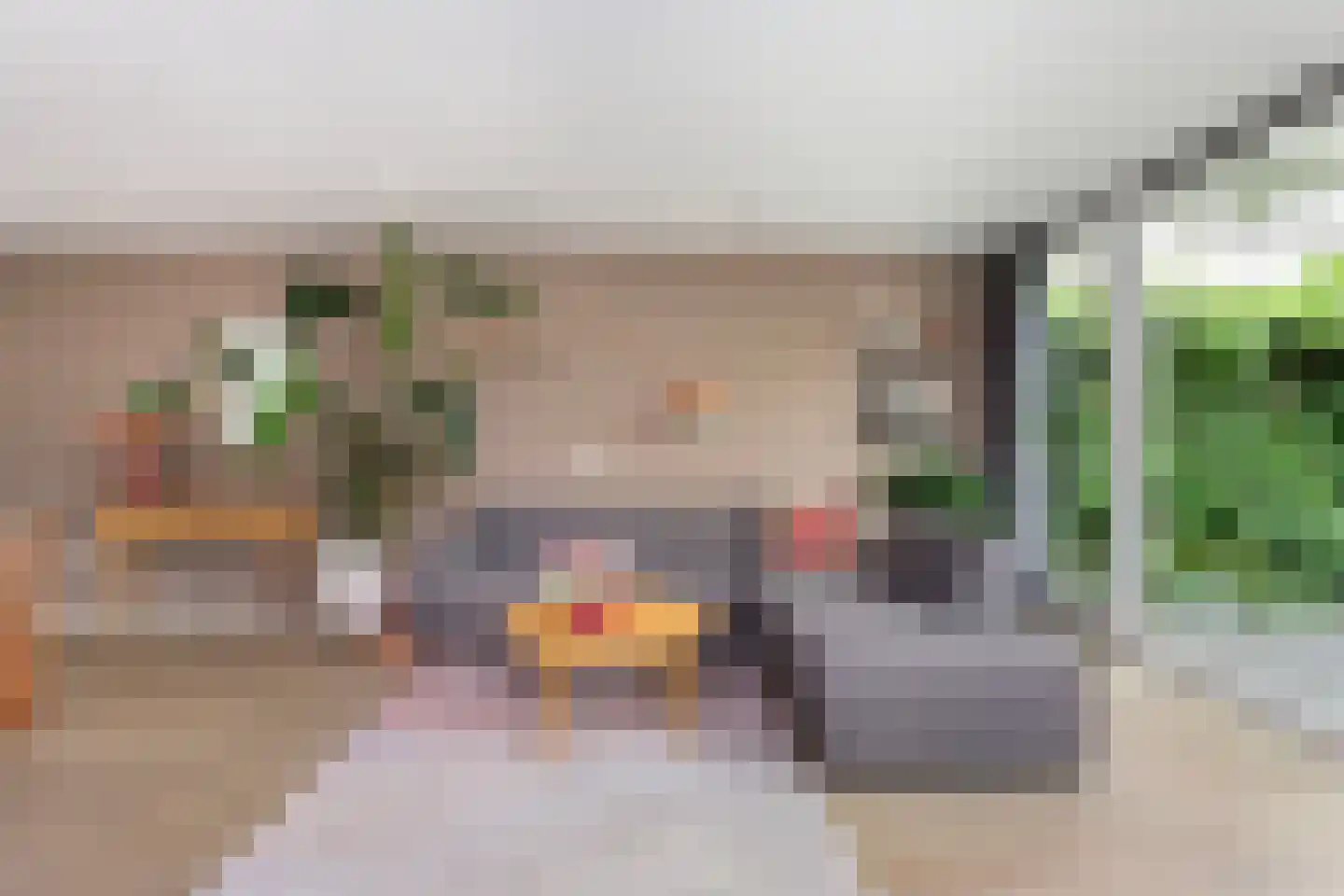 Tjeerdsraklaan 3 Utrecht thumbnail 7