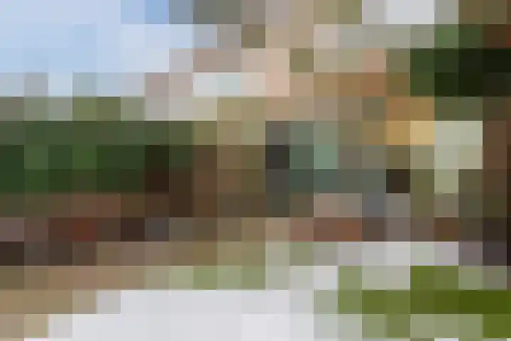 Tjeerdsraklaan 74 Utrecht thumbnail 10