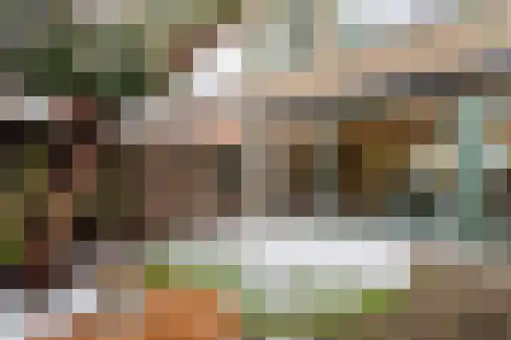 Tjeerdsraklaan 74 Utrecht thumbnail 11