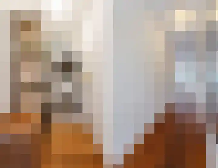 Tjeerdsraklaan 74 Utrecht thumbnail 20